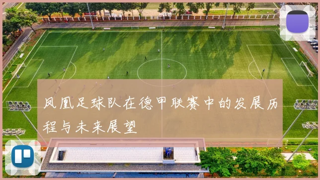 凤凰足球队在德甲联赛中的发展历程与未来展望