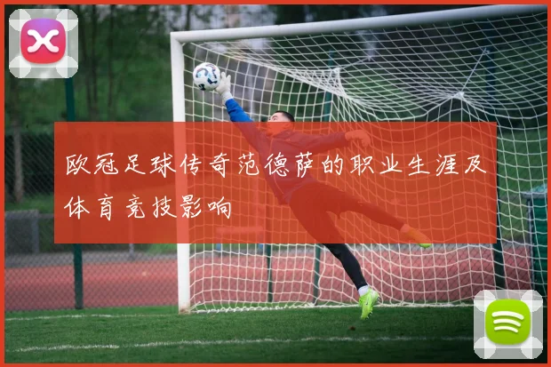 欧冠足球传奇范德萨的职业生涯及体育竞技影响