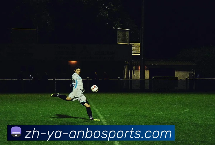 安博体育平台生态图